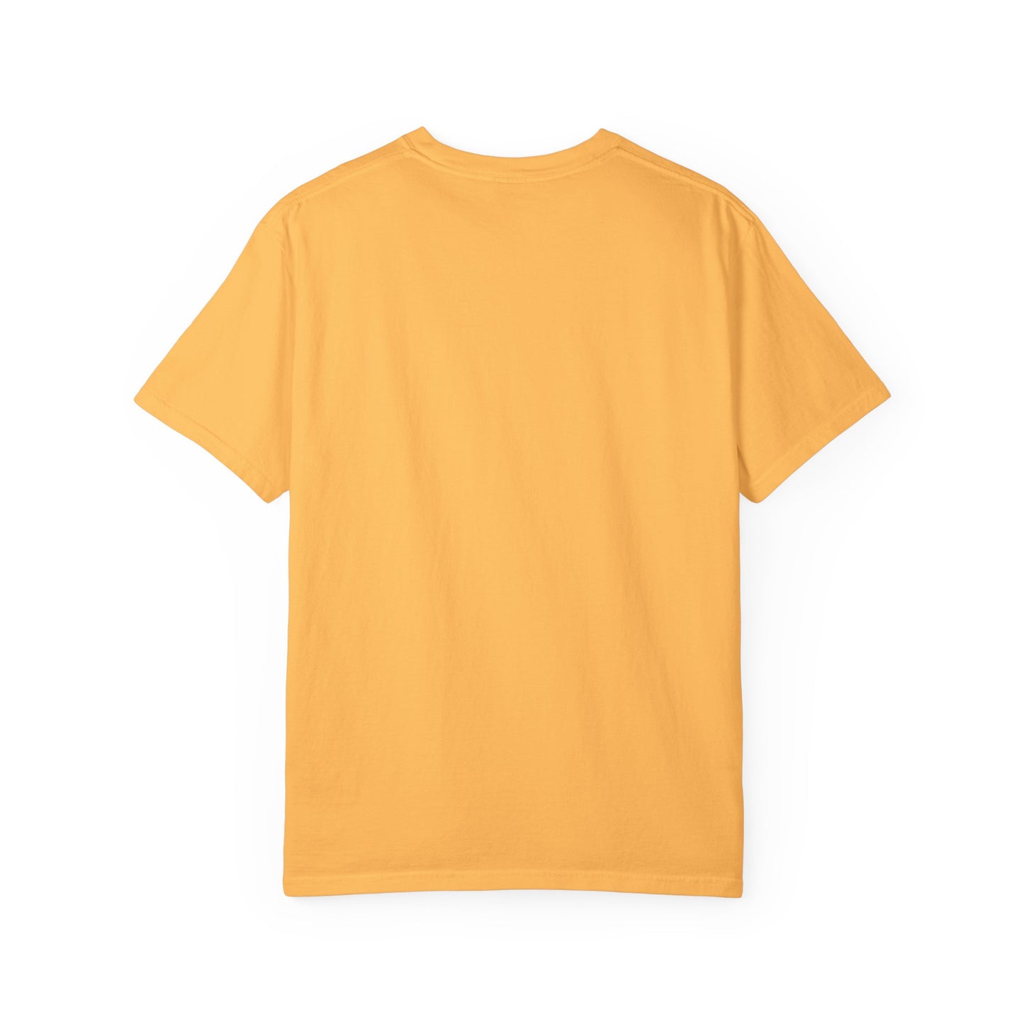 Pumpkin Pie Halloween T-Shirt — "If You Like My Pumpkins You Should See My Pie"